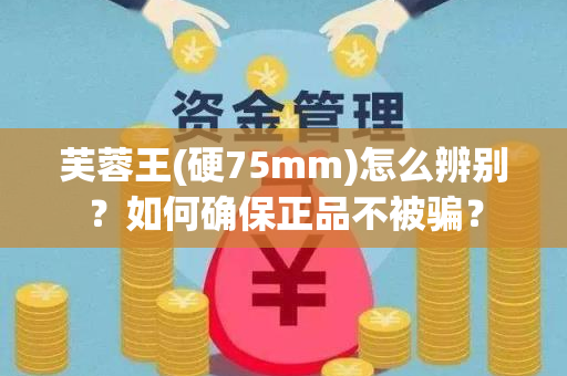 芙蓉王(硬75mm)怎么辨别？如何确保正品不被骗？